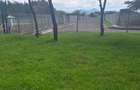 0.25 ac Residential Land in Nanyuki - 4