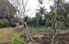 0.5 ac Land at Hillcrest Road - 5