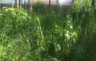 0.113 ac Residential Land in Ongata Rongai - 2