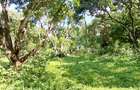 Land at Mtwapa - 13
