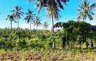 Land at Kwale - 2