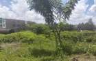 0.25 ac Land in Ruiru - 8