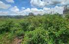 0.2 ha Commercial Land at Merisho Road - 5
