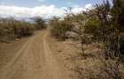 Land at Nanyuki - 5