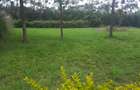 0.1 ha Residential Land in Ongata Rongai - 10