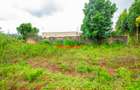 0.05 ha Residential Land at Jambu Tv - 1