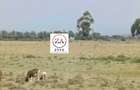 3 ac Land at Mirera - 7