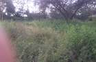 0.5 ac Land in Ongata Rongai - 5