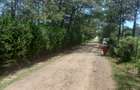 5 ac Land at Burguret - 10