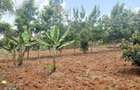 0.5 ac Land at Ndeiya Kiroe Limuru - 1