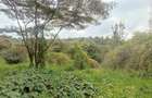 2 ac Land in Karen - 9