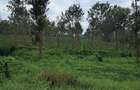 Residential Land at Githunguri -Ruiru - 16