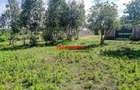 0.05 ha Residential Land at Lusigetti - 11