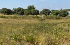 Land in Mtwapa - 7