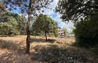Residential Land at Muthithi Gardens - 7
