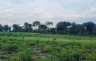 7 ac Land at Mtwapa - 12