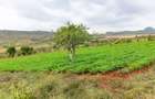 0.125 ac Residential Land in Athi River - 3