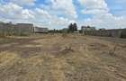 0.125 ac Commercial Land at Kamakis - 6