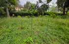 Commercial Land in Lavington - 3
