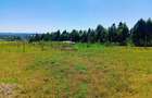 450 m² Residential Land at Ha. Koinange - 8