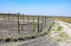 Residential Land at Kitengela Kisaju Spring Gardens - 4