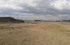 0.125 ac Land in Nanyuki - 11
