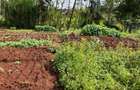2.1 ac Land in Kilimani - 3