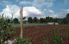 1 ac Land in Tigoni - 18