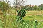 Land in Thika - 1