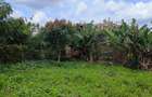 0.25 ac Residential Land at River Side Drive - 5