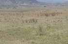 3 ac Residential Land in Naivasha - 8
