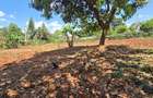 Residential Land at Flem Tree - 7