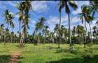 46 ac Land at Greenwood Mtwapa - 5