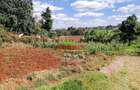 0.125 ac Commercial Land at Kikuyu - 4