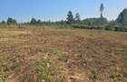 0.49 ac Residential Land in Runda - 5