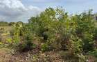 Land in Kilifi - 9