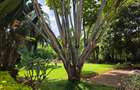 4 Bed House with En Suite in Spring Valley - 12