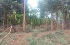 0.75 ac Land at Thindigua - 3