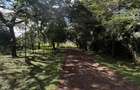 Residential Land at Bomas Of Kenya - 3