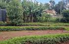 0.25 ac Residential Land at Kerarapon Drive - 5