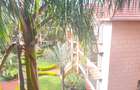 4 Bed Apartment with En Suite in Lavington - 15