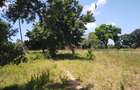 Land in Mtwapa - 15