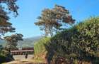 506 m² Land at Kibiko Centre Near Tarmac - 9