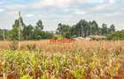 0.05 ha Residential Land in Kamangu - 4