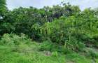 Land in Vipingo - 20