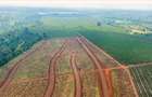 1,000 m² Residential Land at Zuri Springs Estate - 11