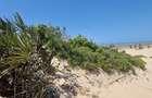 0.125 ac Land in Malindi - 15