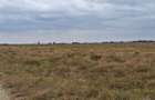 700 ac Land at Bisil - 4