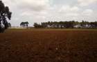 Land at Timau - 14