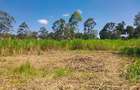 0.5 ac Land in Ridgeways - 1